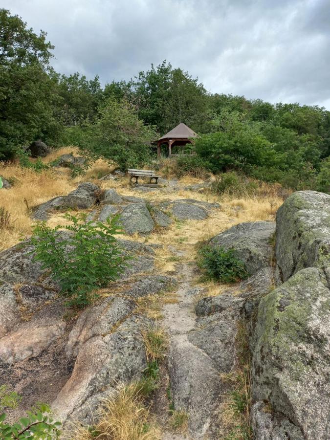 Вилла Gite Au Nid De Cigognes Дифенталь Экстерьер фото